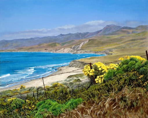 Overlooking Jalama