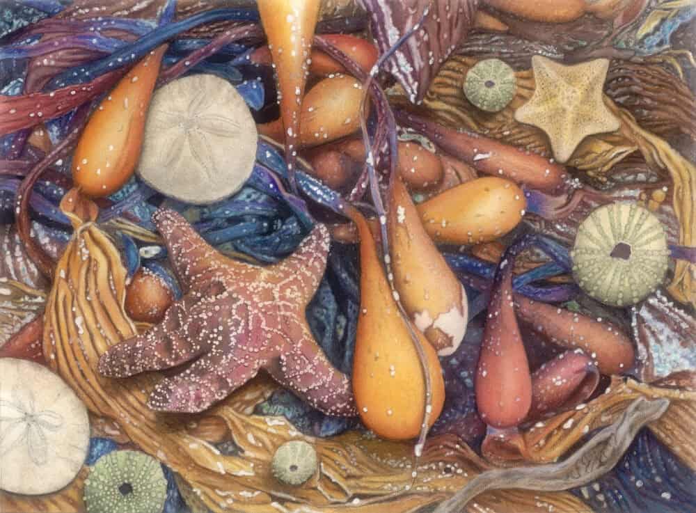 Beach Treasures