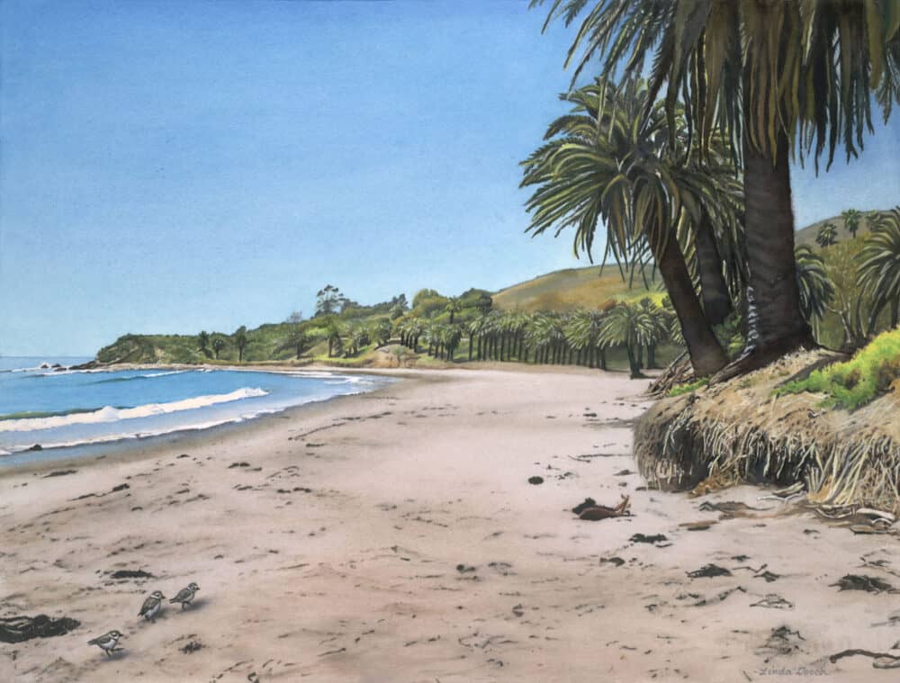 Refugio Palms