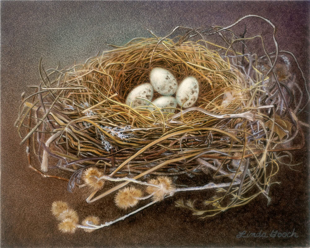 Spring Quartet
